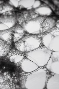 Kaboompics - Liquid Bubble Network Close Up Abstract Composition