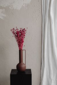 Kaboompics - Red Dried Flax In Brown Handled Pitcher On Black Pedestal