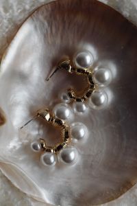 Kaboompics - Close-Up of Pearl-Embellished Gold Earrings in an Iridescent Shell