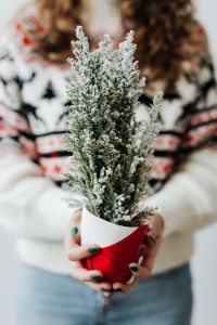 Kaboompics - Woman in White Sweater Holding Potted Cypress