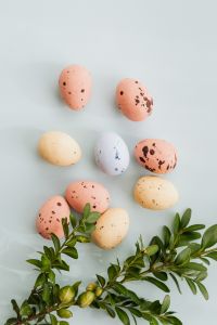 Kaboompics - Easter Eggs & Buxus - Boxtree - Boxwood