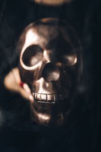 Kaboompics - Metallic skull