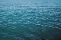 Kaboompics - Coast of the Black Sea, Sunny Beach, Bulgaria