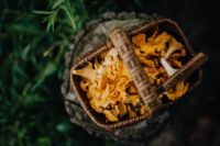 Kaboompics - Top View Of Chanterelle Mushrooms In Basket