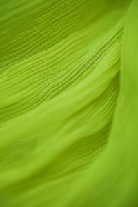 Kaboompics - Lime Green Fabric Folds and Draped Texture