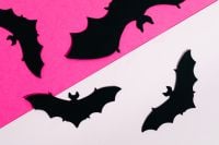 Kaboompics - Black Bats on Pink and White Background
