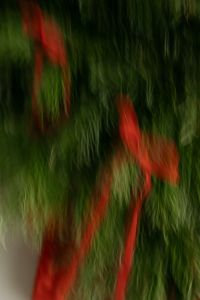 Kaboompics - Abstract Red Ribbon Bows on Evergreen Christmas Tree