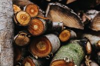 Kaboompics - Wooden logs