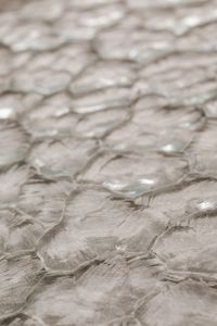 Kaboompics - Shallow-Focus Glass Texture with Repeating Raised Facets