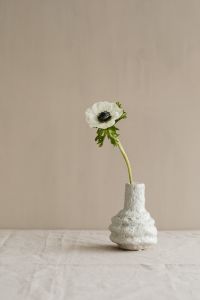 Kaboompics - White Anemone Still Life in a Sculptural Vase Against a Neutral Wall