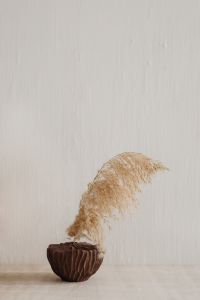 Kaboompics - Pampas Grass in Sculptural Brown Vase on the Floor by a Textured White Wall