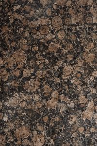 Kaboompics - Dark Brown Fossil Stone Texture