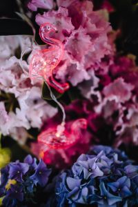 Kaboompics - Flamingo light garland & pink flowers