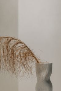 Kaboompics - Dried Palm Frond in a White Vase Against a Neutral Wall