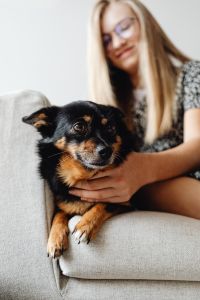 Kaboompics - Small Dog Portrait with Student in Background
