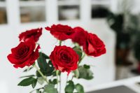 Kaboompics - Red Roses, Laptop and Phone on Dark Home Office Desk, Workspace Styling