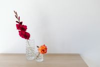 Kaboompics - Gladiolus and Coral Rose in Glass Vases on a Wooden Table