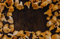 Kaboompics - Chanterelle Mushrooms Arranged Around Wooden Background