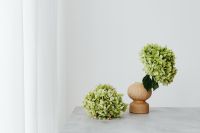 Kaboompics - Green Hydrangea Flower Detail on Marble