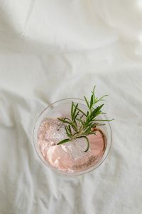 Kaboompics - Pink Rosemary Cocktail with Ice