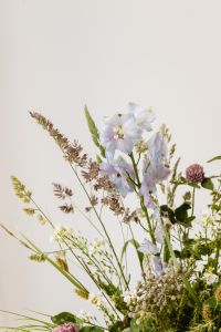 Kaboompics - Pale Blue Wildflowers and Dried Grasses on Neutral Background