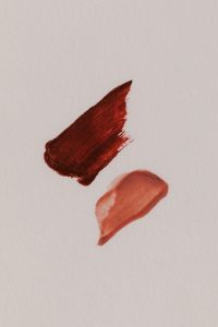 Kaboompics - Burgundy and Coral Lipstick Swatches