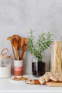Kaboompics - Rosemary in a pot