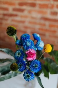Kaboompics - Blue Chrysanthemum Bouquet with Pink Carnation on Brick Background