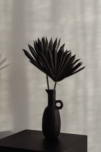 Kaboompics - Black Vase with Dried Palm Fronds and a Soft Shadow on a Pale Interior Wall