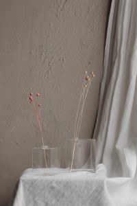Kaboompics - Two Glass Vases With Delicate Preserved Stems