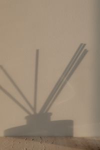 Kaboompics - Abstract Reed Diffuser Shadow on a Neutral Wall