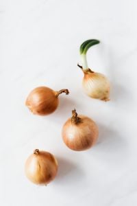 Sprouting Yellow Onion Still Life on White for Recipe and Produce Branding