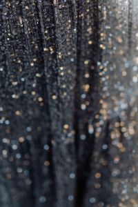 Kaboompics - Sequin Dress