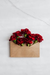Kaboompics - Red Carnations in Kraft Envelope on White Marble Background