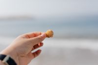Kaboompics - Hand Holding a Seashell with Blurred Sea and Beach Background