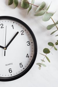 Kaboompics - Clock & Twig on White Background
