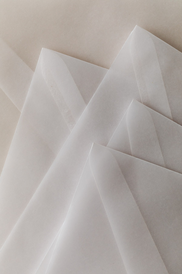 Vertical Envelope Mockup Neutral Aesthetic. Ideal for minimal ...