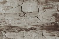 Kaboompics - Wide Beige Paint Texture with Long Cracks and Brush Marks