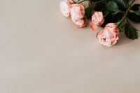Kaboompics - Pink Roses Cropped Along Top Edge of Beige Background