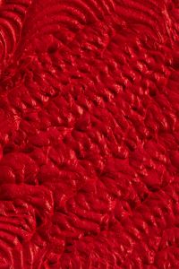 Kaboompics - Bright Red Lipstick Texture with Sculpted Swirls