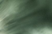 Kaboompics - Minimal Sage Green Background With Copy Space for Branding