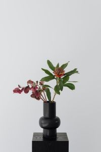 Kaboompics - Minimalist Flower Arrangement in a Tall Black Vase