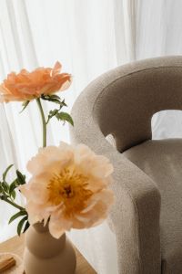 Kaboompics - Peach Flowers Framing a Textured Armchair in Soft Light