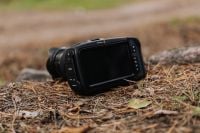 Kaboompics - Black Cinema Camera Resting on Pine Needles in a Forest