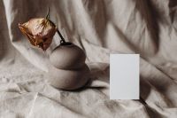Kaboompics - Minimal Portrait Card Mockup and Dried Rose with Ample Copy Space