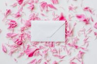 Kaboompics - Blank Envelope on Scattered Pink Peony Petals