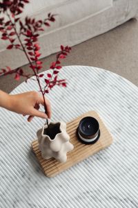 Kaboompics - Woman Placing a Red Branch in a Vase