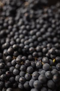 Kaboompics - Grape background