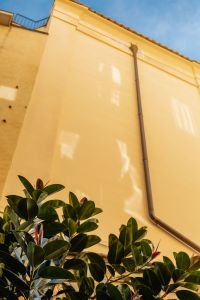 Kaboompics - Sunlit Yellow Stucco Wall and Green Shrub in Naples
