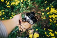 Kaboompics - Woman with vintage camera in the field of blooming rapes